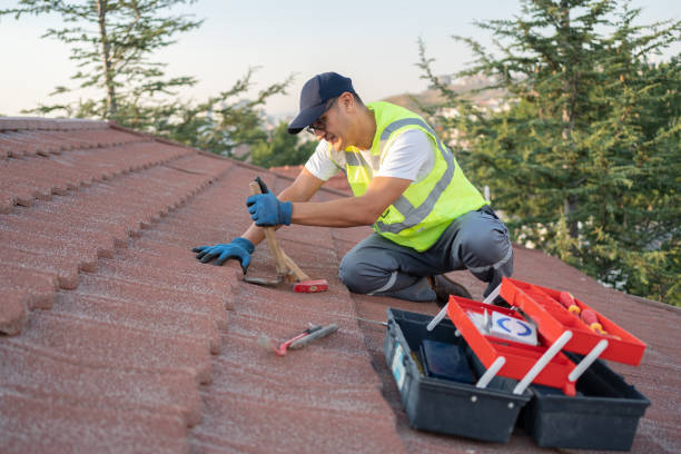 Best Shingle Roofing Installation  in , WY